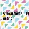 小貓溫斯頓1：真正的朋友（關于小貓溫斯頓1：真正的朋友簡介）