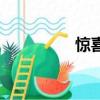 驚喜（關于驚喜的簡介）