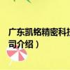 廣東凱銘精密科技有限公司（關于廣東凱銘精密科技有限公司介紹）