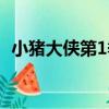 小豬大俠第1季（關于小豬大俠第1季簡介）