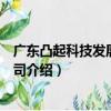 廣東凸起科技發展有限公司（關于廣東凸起科技發展有限公司介紹）