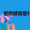 能的部首是什么偏旁怎么讀（能的部首是什么）
