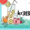 kr瀏覽器怎么樣（kr瀏覽器）