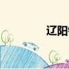 遼陽鐵通寬帶（遼陽鐵通）