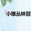 小狼叢林冒險（關于小狼叢林冒險簡介）