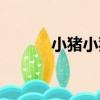 小豬小豬（關于小豬小豬簡介）