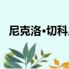 尼克洛·切科尼（關于尼克洛·切科尼簡介）