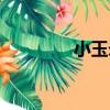 小玉米（關于小玉米簡介）