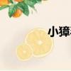 小獐毛（關于小獐毛簡介）