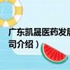 廣東凱晟醫藥發展有限公司（關于廣東凱晟醫藥發展有限公司介紹）