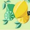 鋼煉2003（鋼煉2）