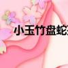 小玉竹盤蛇孢（關于小玉竹盤蛇孢簡介）