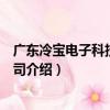 廣東冷寶電子科技有限公司（關于廣東冷寶電子科技有限公司介紹）