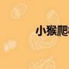小猴爬樹（關于小猴爬樹簡介）