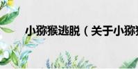小獼猴逃脫(關于小獼猴逃脫簡介)