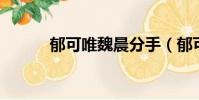 郁可唯魏晨分手(郁可唯 魏晨)