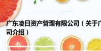廣東凌日資產管理有限公司(關于廣東凌日資產管理有限公司介紹)