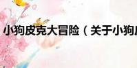 小狗皮克大冒險(關于小狗皮克大冒險簡介)