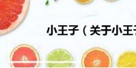 小王子(關于小王子簡介)