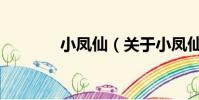 小鳳仙(關于小鳳仙的簡介)