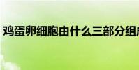 雞蛋卵細胞由什么三部分組成(雞蛋卵細胞)