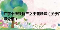 廣東十虎鐵橋三之王者崢嶸(關于廣東十虎鐵橋三之王者崢嶸介紹)