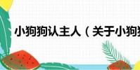 小狗狗認主人(關于小狗狗認主人簡介)