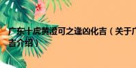 廣東十虎黃澄可之逢兇化吉(關于廣東十虎黃澄可之逢兇化吉介紹)
