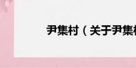 尹集村(關于尹集村簡介)