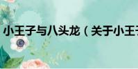 小王子與八頭龍(關于小王子與八頭龍簡介)