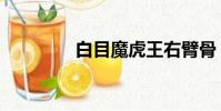 白目魔虎王右臂骨(白目)