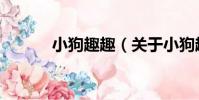 小狗趣趣(關于小狗趣趣簡介)