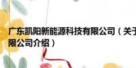 廣東凱陽新能源科技有限公司(關于廣東凱陽新能源科技有限公司介紹)