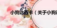 小狗達西卡(關于小狗達西卡簡介)