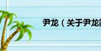 尹龍(關于尹龍簡介)
