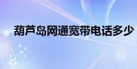 葫蘆島網通寬帶電話多少(葫蘆島網通)
