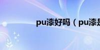 pu漆好嗎(pu漆是什么)