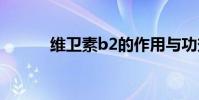 維衛素b2的作用與功效(維衛)