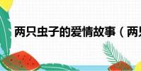 兩只蟲子的愛情故事(兩只蟲子的故事)