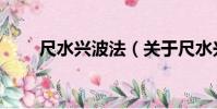 尺水興波法(關于尺水興波法簡介)
