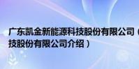 廣東凱金新能源科技股份有限公司(關于廣東凱金新能源科技股份有限公司介紹)