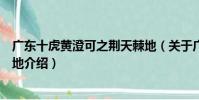廣東十虎黃澄可之荊天棘地(關于廣東十虎黃澄可之荊天棘地介紹)