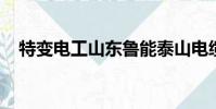 特變電工山東魯能泰山電纜有限公司電話