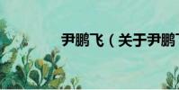 尹鵬飛(關于尹鵬飛簡介)