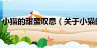 小貓的甜蜜嘆息(關于小貓的甜蜜嘆息簡介)