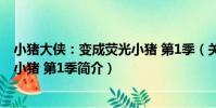小豬大俠:變成熒光小豬 第1季(關于小豬大俠:變成熒光小豬 第1季簡介)