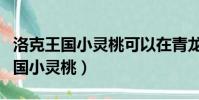 洛克王國小靈桃可以在青龍宮殿捕抓(洛克王國小靈桃)