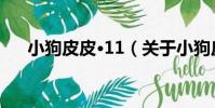 小狗皮皮·11(關于小狗皮皮·11簡介)