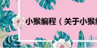 小猴編程(關于小猴編程簡介)