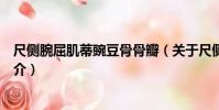 尺側腕屈肌蒂豌豆骨骨瓣(關于尺側腕屈肌蒂豌豆骨骨瓣簡介)